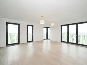 Pronájem bytu 4+kk, Praha - Žižkov, Olšanská, 120 m2