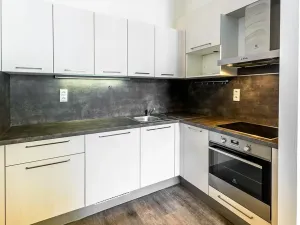 Pronájem bytu 1+kk, Praha - Holešovice, Na Maninách, 31 m2