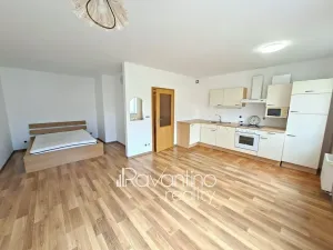 Prodej bytu 1+kk, Brno, Podveská, 41 m2
