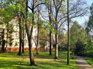 Pronájem bytu 1+1, Praha - Nové Město, Na bojišti, 32 m2