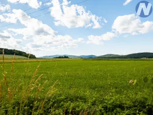 Prodej pozemku pro bydlení, Brloh - Rojšín, 1291 m2