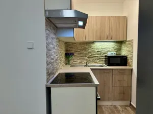 Pronájem bytu 2+kk, Plzeň, Mánesova, 43 m2