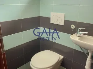 Pronájem rodinného domu, Vlkoš, 200 m2