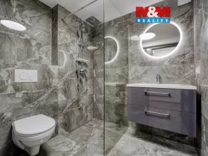 Prodej obchodního prostoru, Plzeň - Východní Předměstí, Ořechová, 26 m2