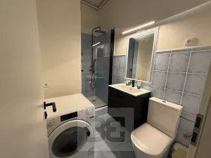 Pronájem bytu 1+1, Praha - Nové Město, Petrská, 37 m2