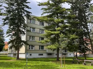 Prodej bytu 3+1, Přelouč, K. Čapka, 71 m2