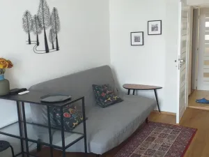 Pronájem bytu 1+1, Praha - Žižkov, Seifertova, 35 m2