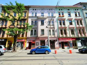 Pronájem bytu 1+1, Praha - Žižkov, Seifertova, 35 m2