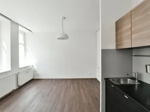 Pronájem bytu 1+kk, Praha - Vinohrady, Lucemburská, 30 m2