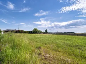 Prodej pozemku pro bydlení, Vřesina, Revoluční, 859 m2