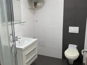 Pronájem bytu 1+kk, Brno - Židenice, Otakara Ševčíka, 30 m2
