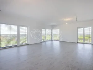 Prodej rodinného domu, Divišov, Na Špičníku, 167 m2