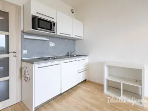 Pronájem bytu 1+kk, Praha, Freyova, 33 m2