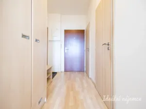 Pronájem bytu 1+kk, Praha, Freyova, 33 m2