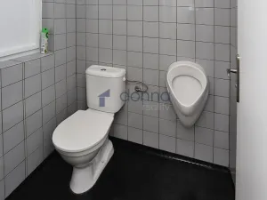 Pronájem restaurace, Praha, Plaská, 86 m2