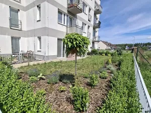 Pronájem bytu 2+kk, Velký Osek, U hřiště, 66 m2
