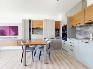 Pronájem bytu 2+kk, Zbiroh, Majerové, 463 m2