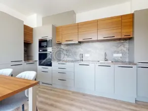 Pronájem bytu 2+kk, Zbiroh, Majerové, 463 m2