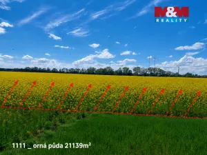 Prodej pole, Pňov-Předhradí - Pňov, 142115 m2