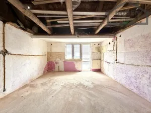 Prodej rodinného domu, Bor - Holostřevy, 380 m2