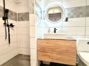 Prodej rodinného domu, Bor - Holostřevy, 380 m2