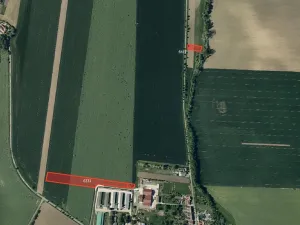 Prodej pole, Prasklice, 16630 m2
