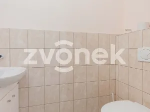 Prodej bytu 2+1, Zlín, Hornomlýnská, 78 m2