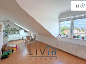 Pronájem bytu 1+kk, Olomouc, Krakovská, 80 m2