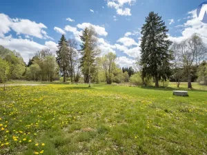 Prodej pozemku pro bydlení, Strážný, 2500 m2