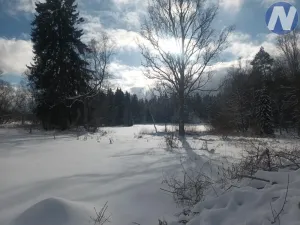 Prodej pozemku pro bydlení, Strážný, 5195 m2