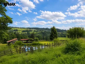 Prodej zahrady, Ledeč nad Sázavou, 1590 m2