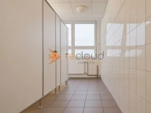 Pronájem kanceláře, České Budějovice - České Budějovice 3, K. Světlé, 71 m2
