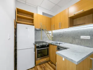 Pronájem bytu 1+1, Radnice, Na Potocích, 32 m2
