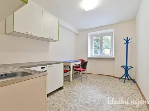 Pronájem bytu 1+1, Brno, Mášova, 38 m2