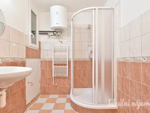 Pronájem bytu 1+1, Brno, Mášova, 38 m2