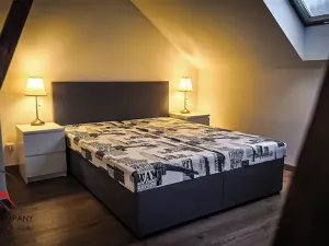 Pronájem bytu 1+kk, Ostrava, Cihelní, 38 m2