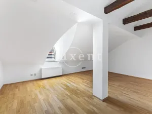 Pronájem bytu 4+kk, Praha - Malá Strana, Vítězná, 213 m2