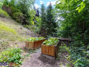 Prodej chaty, Oskava - Mostkov, 100 m2