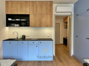 Pronájem bytu 1+kk, Olomouc, Edmunda Husserla, 30 m2