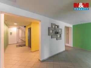 Prodej bytu 1+kk, Praha - Žižkov, Za žižkovskou vozovnou, 43 m2