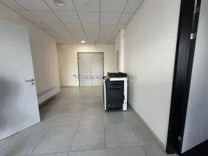 Pronájem skladu, Ostrava - Poruba, 17. listopadu