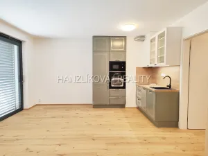 Pronájem bytu 1+kk, České Budějovice - České Budějovice 3, Fráni Šrámka, 41 m2