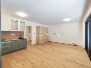 Pronájem bytu 1+kk, České Budějovice - České Budějovice 3, Fráni Šrámka, 41 m2