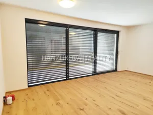 Pronájem bytu 1+kk, České Budějovice - České Budějovice 3, Fráni Šrámka, 41 m2