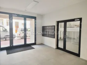 Pronájem bytu 1+kk, České Budějovice - České Budějovice 3, Fráni Šrámka, 41 m2