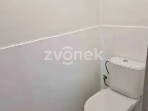 Prodej rodinného domu, Zlechov, 114 m2