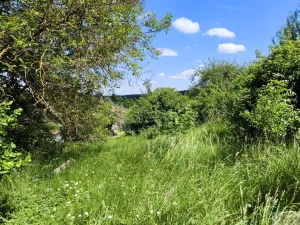 Prodej pozemku pro bydlení, Senice na Hané - Cakov, 1283 m2