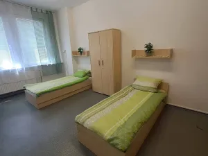 Pronájem bytu 1+kk, Hranice - Hranice I-Město, Potštátská, 40 m2
