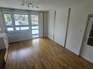 Prodej bytu 1+1, Příbram - Příbram VIII, Čechovská, 40 m2