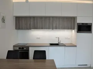 Pronájem bytu 1+kk, Olomouc, Loudova, 37 m2